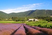 B&B Le Péage - Gîtes du Château d'Alençon - Bed and Breakfast Le Péage