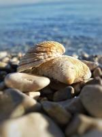 Appartamento Monolocale con Vista Mare