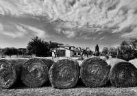 Orti di Capalbio - B&B