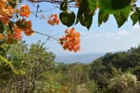 Casa de campo Luna de Miel