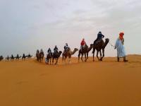 bassou luxury camp - B&B Merzouga