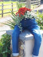 The Ring Farmhouse - B&B Birr