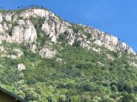 Garsoniera Aleea Trandafirilor - B&B Băile Herculane