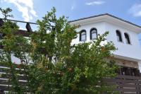 B&B Milies - Karpofora Traditional Guesthouse - Bed and Breakfast Milies