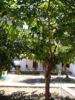 AnnaMaria House - Chambres d'hôtes Laganás