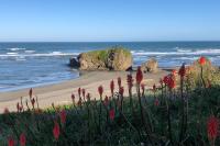 Three Bedroom holiday home