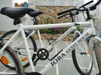 Camera Matrimoniale/Doppia con Letti Singoli con Bagno