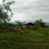 Tenthouse for 4 persons with Shared Toilet and Shower