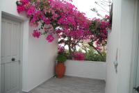 Studio met Terras