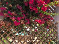 Bright apartment 300m from the beach - Chambres d’hôtes Sitio de Calahonda