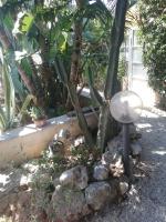 Elorina Sicily Home - Bed and Breakfast Syracuse