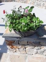 Villa de 1 dormitorio