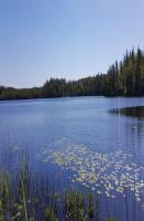 Strönhult farmhouse by the lake - B&B Strönhult