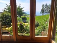 Urlaub im Blockhaus - B&B Diex