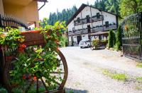 Casa Ursului - Ferienwohnung Vadu Moţilor