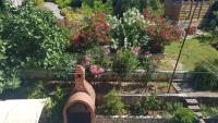 Apartment mit 3 Schlafzimmern und Balkon