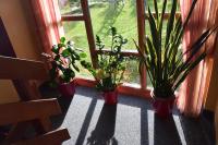 Apartment mit 1 Schlafzimmer und Balkon