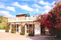 Studio with Mountain View