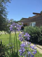 CasaDuro - B&B