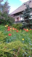 Casa Pintea - Bucovina - B&B