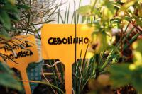 Rex Surf House - B&B Areia Branca