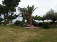 Entire Appartment 50m from sea - Spiros - B&B