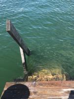 Ferienresidenz Seegarten Andrea - Seezugang und Schwimmbad - B&B Bodman-Ludwigshafen