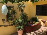 Holiday home Villa Bougainvillea Historic Home with Secret Courtyard - Ferienwohnung Crikvenica