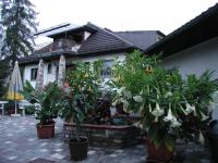 Family Bungalow