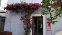 Il Melograno dell'Etna - B&B Aci Bonaccorsi