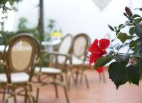 B&B Ravello Rooms - Bed and Breakfast Ravello