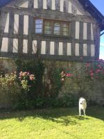 Lower House Farm B&B, Herefordshire - Bed and Breakfast