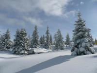 Haus Saxer - B&B Mieders