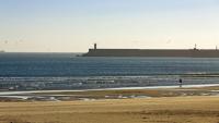Exquisite Retreat in a Traditional Area of Porto - B&B Porto