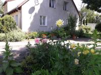 Apartamenty Stajni Jazon Malbork - B&B