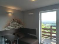 Superior Double or Twin Room with Terrace and Lake View