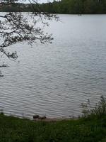 Całoroczny dom letniskowy - Chambres d’hôtes Chmielno