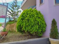 Colourful apartments (Violet sky) - B&B