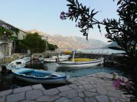 Apartman Posejdon - Bed and Breakfast Kotor