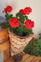 Appartement avec Vue sur la Montagne