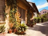 Loft Navigli With Private Garden - B&B