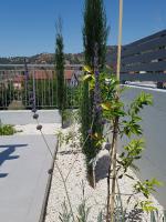 Evmelia Kakopetria Suites - Chambres d’hôtes Kakopetriá