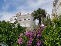 Apartment Maslina - B&B Sebenico