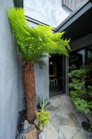 Sumihotaru Honoka Machiya House - Bed and Breakfast Kyoto