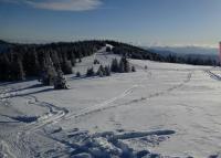 Apartment - Erdgeschoss