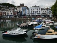 BUMBLEBEE - B&B Dartmouth