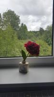 Dreibettzimmer