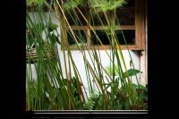 Monolocale con Balcone