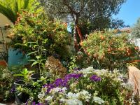 Locazioni Brevi La RosaViola GUEST ROOMS - B&B