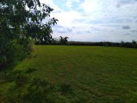 Little Owls Nest Holiday Home - B&B Wisbech